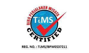 TIMS Logo